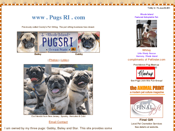 www.pugsri.com