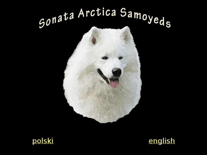 www.sonataarctica.pl