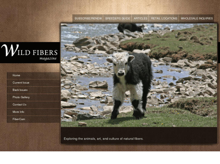 www.wildfibersmagazine.com