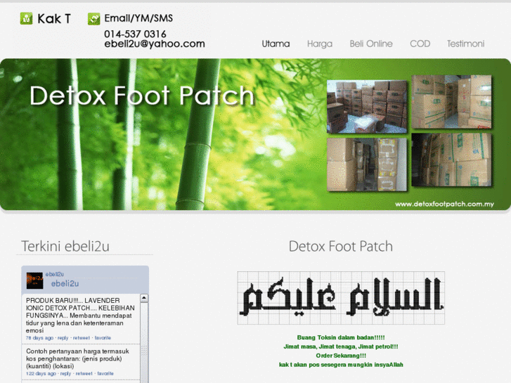 www.detoxfootpatch.com.my