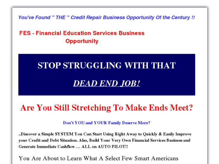 www.fes-business-opportunity.com