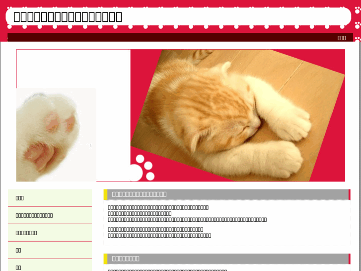 www.icpc.jp