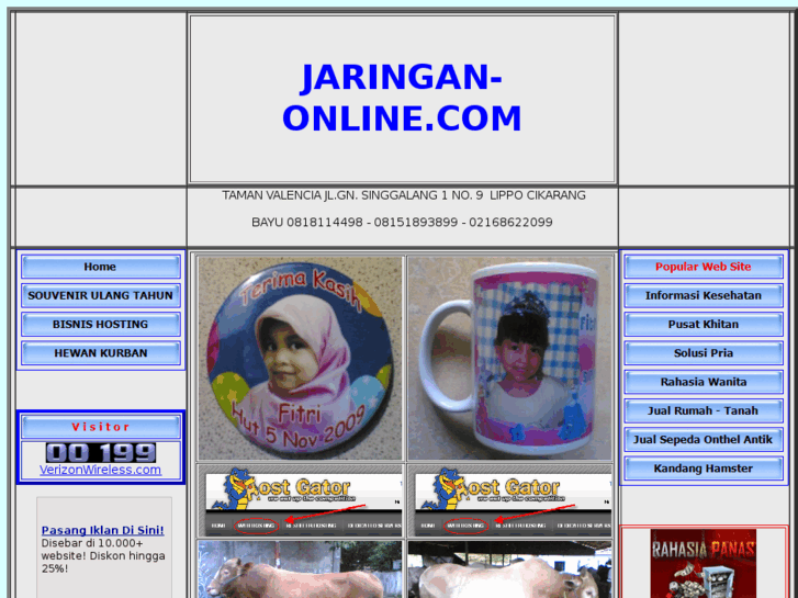 www.jaringan-online.com