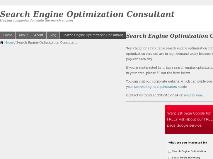 www.search-engine-optimization-consultant.com