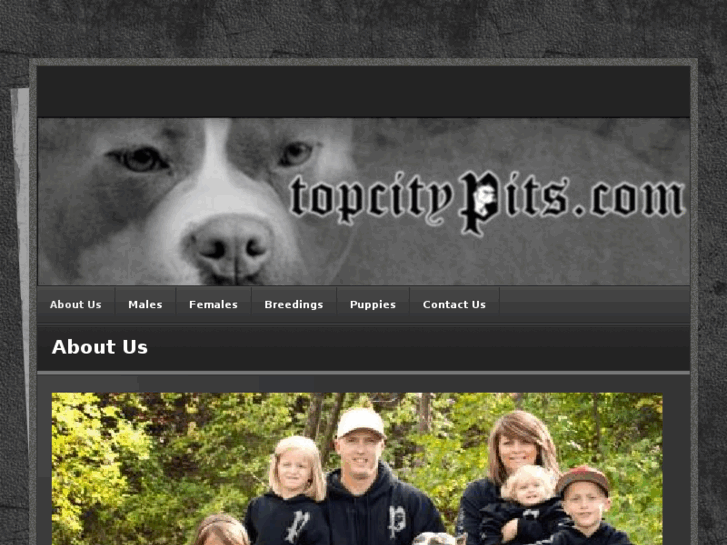 www.topcitypits.com