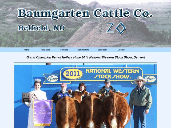 www.baumgartencattle.com