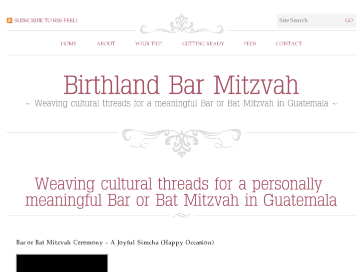 www.birthlandbarmitzvah.com