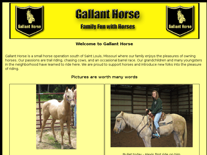 www.gallanthorse.com