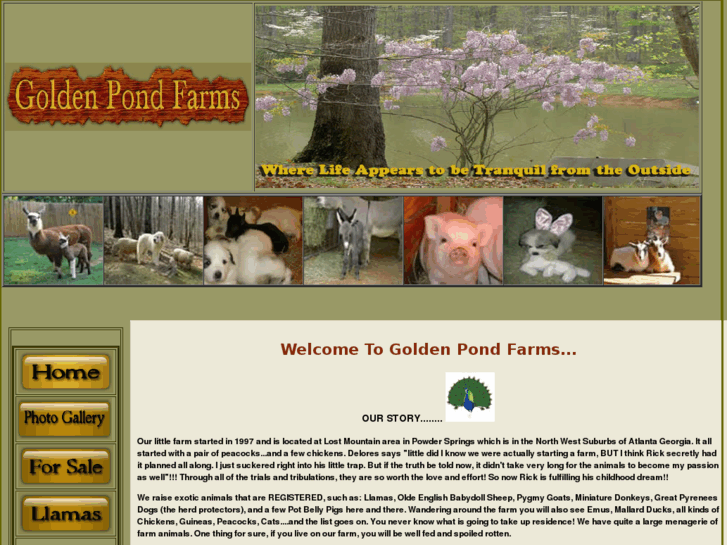 www.goldenpondfarms.net