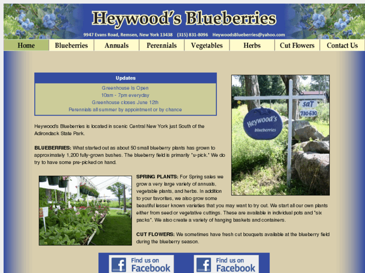 www.heywoodsblueberries.com