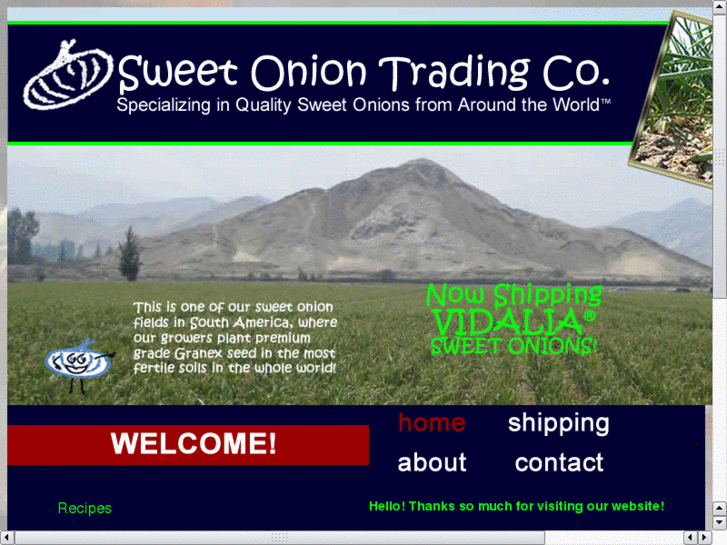www.sweetsalesonion.com