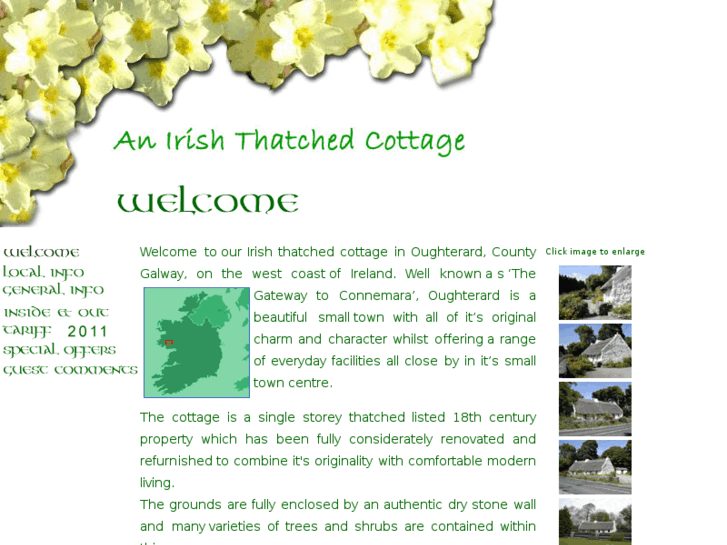 www.anirishthatchedcottage.com