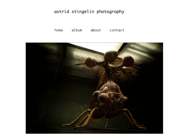 www.astridstingelin.ch
