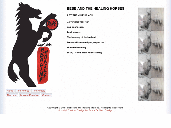 www.bebeandthehealinghorses.com