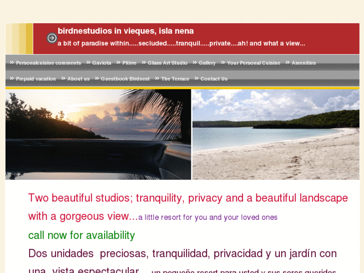 www.birdnestudios-vieques.com