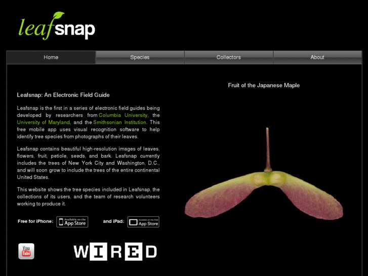 www.birdsnap.com