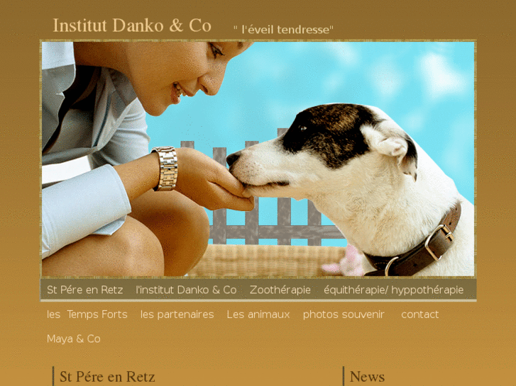 www.dankoandco.com