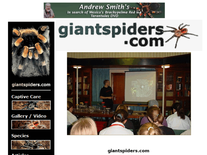 www.giantspiders.com