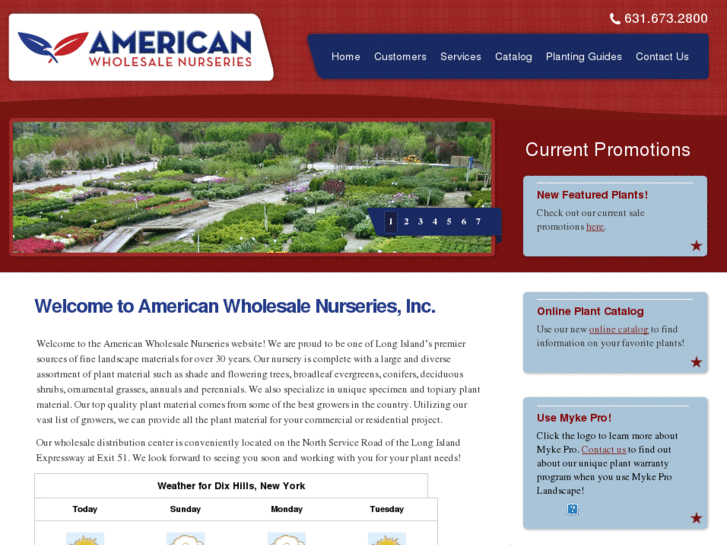 www.americanwholesalenurseries.com