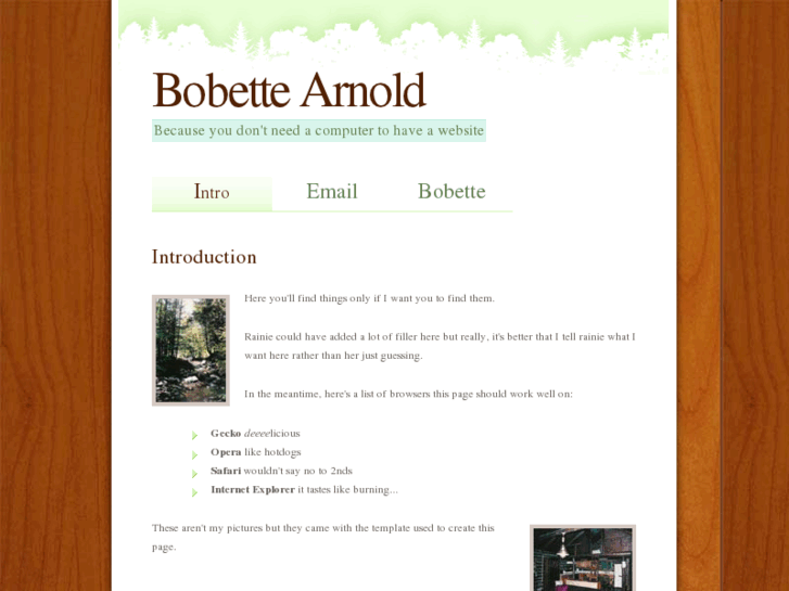 www.bobettearnold.com