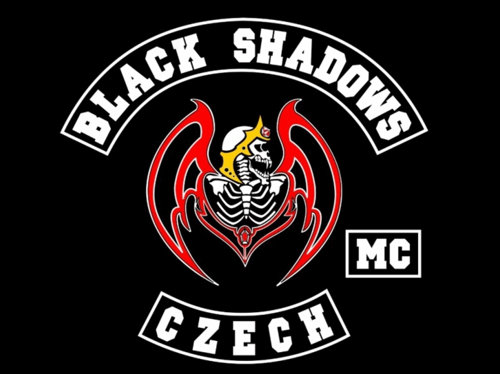 www.bsmc.cz