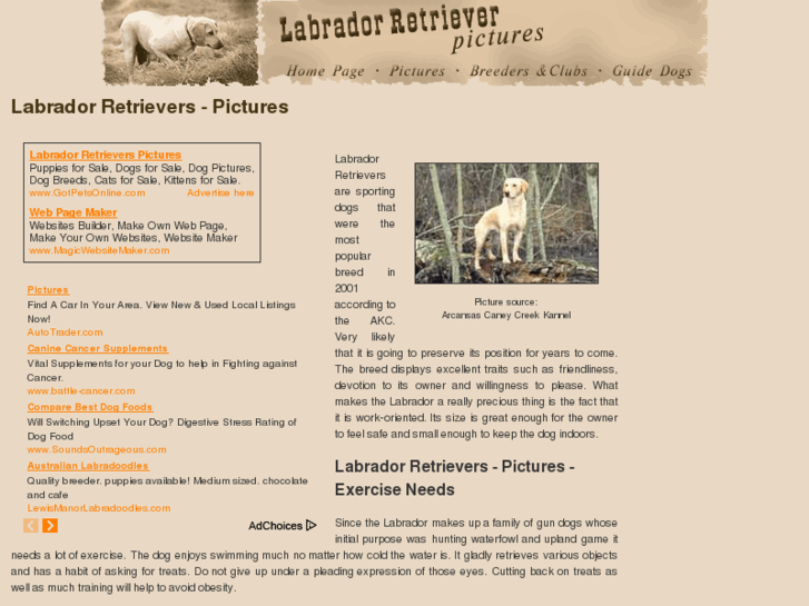 www.labrador-retrievers-pictures.com