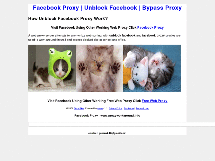 www.proxyworkaround.info