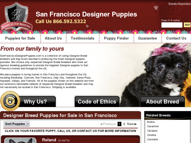 www.sanfranciscodesignerpuppies.com