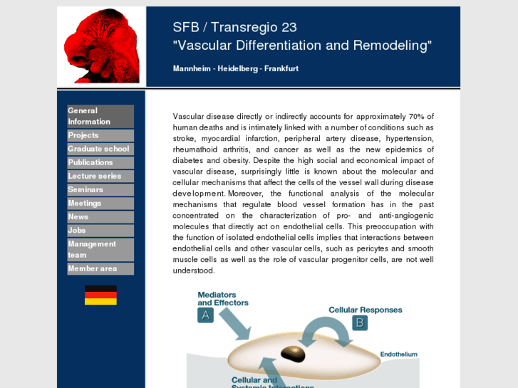 www.transregio23.de