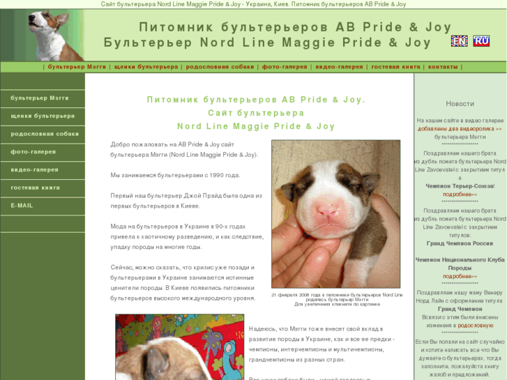 www.abpridebullterrier.com