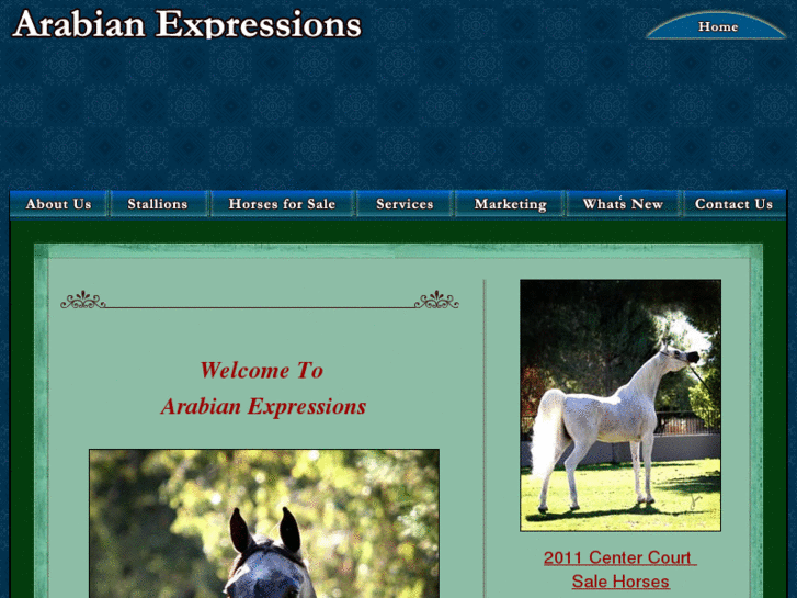 www.arabianexpressions.com