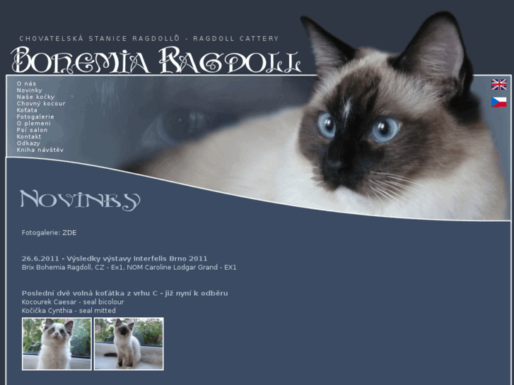 www.bohemia-ragdoll.com