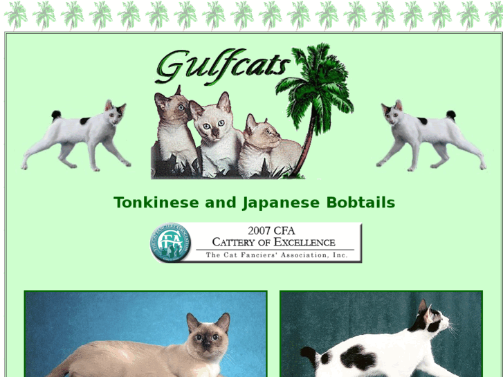 www.gulfcats.com