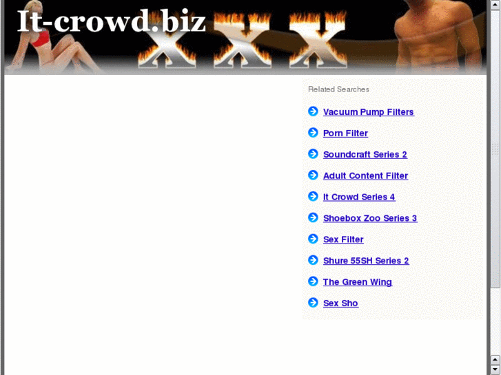 www.it-crowd.biz
