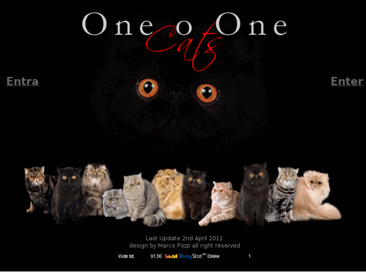 www.one-o-onecats.com