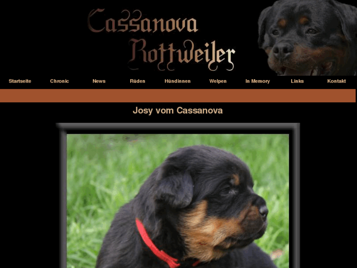 www.rottweiler-vom-cassanova.de