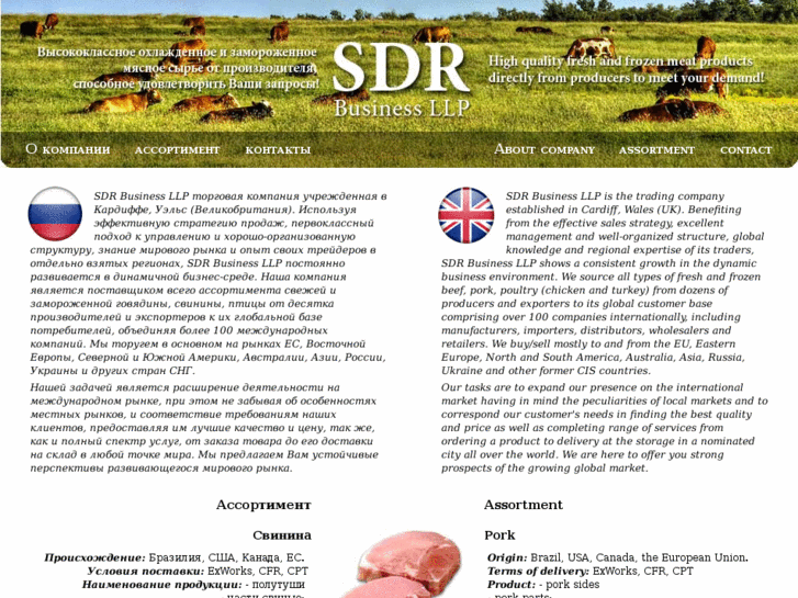 www.sdrlimited.com