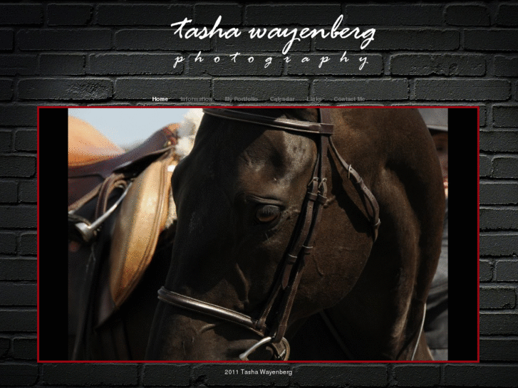 www.twayenbergphotography.com