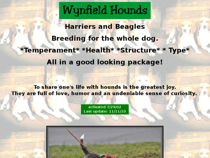 www.wynfieldhounds.com