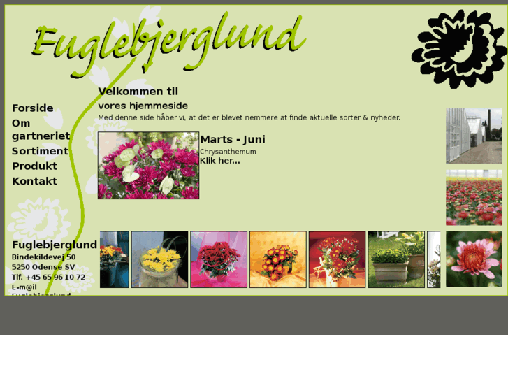 www.chrysanthemum-dk.com