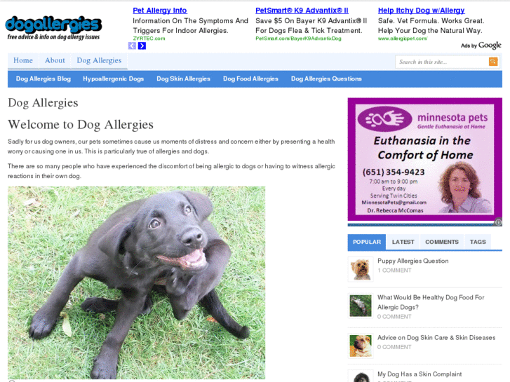 www.dogallergies.org.uk