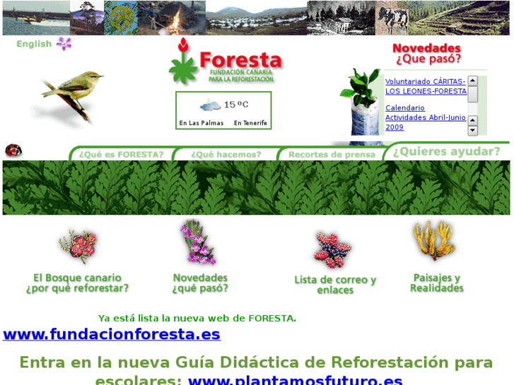 www.fundacionforesta.org