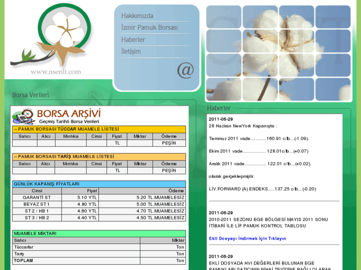 www.nsenli.com