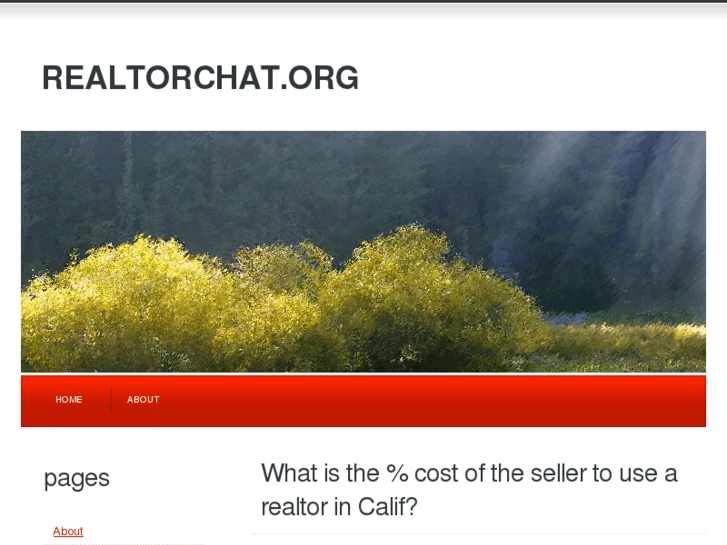 www.realtorchat.org