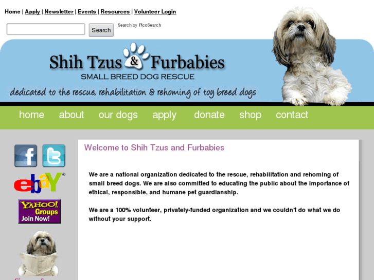 www.shihtzuandfurbabies.org