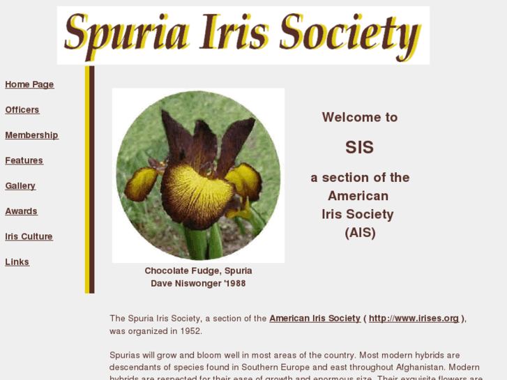 www.spuriairis.com