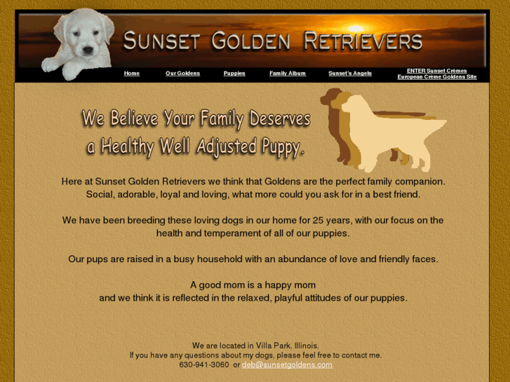 www.sunsetgoldens.com