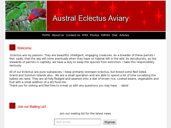 www.australeclectus.com