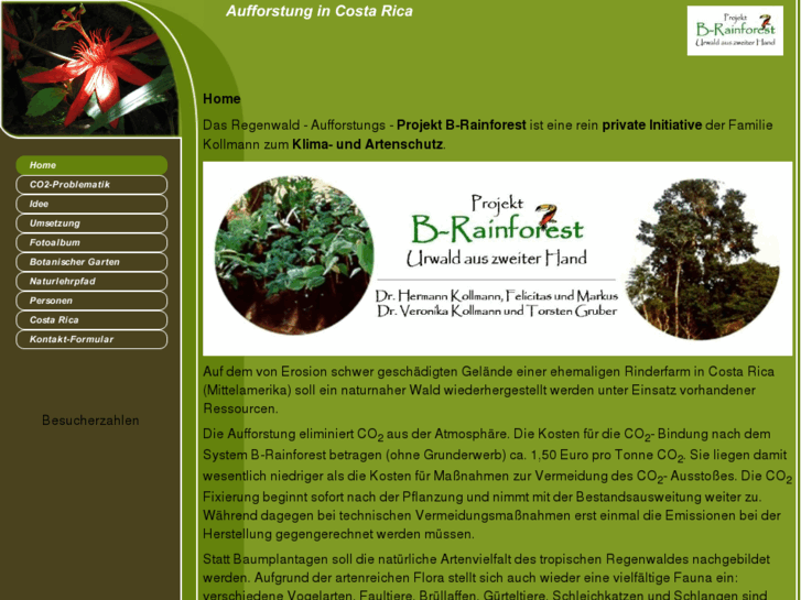 www.b-rainforest.com