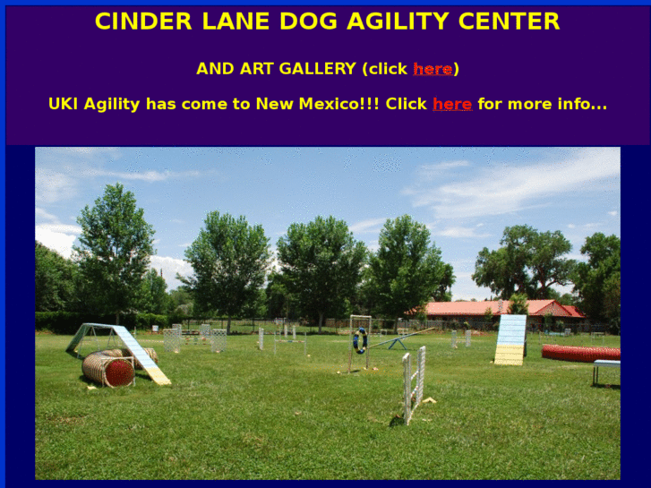 www.cinderlndogtraining.com